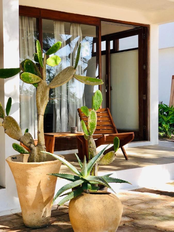 Bed and Breakfast Liquid Dive Adventures Praia do Praia do Tofo Exterior foto