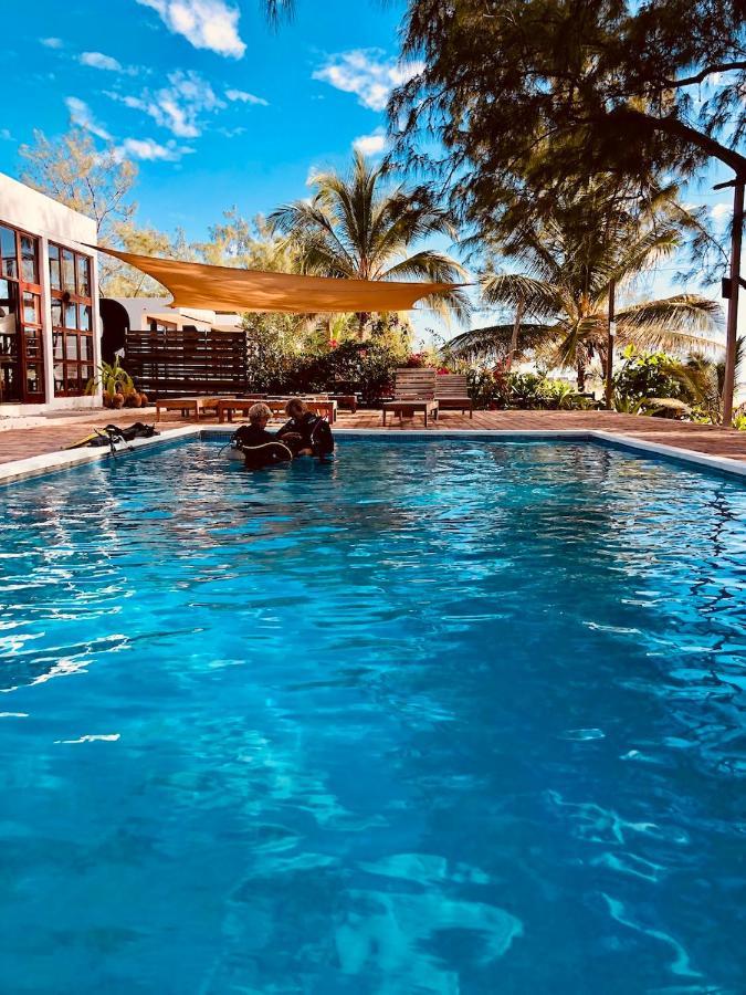 Bed and Breakfast Liquid Dive Adventures Praia do Praia do Tofo Exterior foto