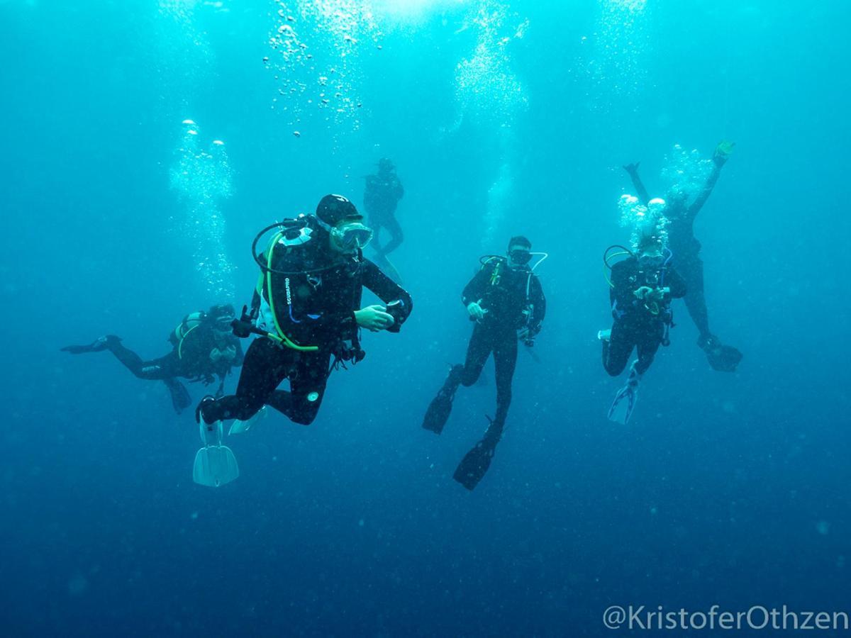 Bed and Breakfast Liquid Dive Adventures Praia do Praia do Tofo Exterior foto