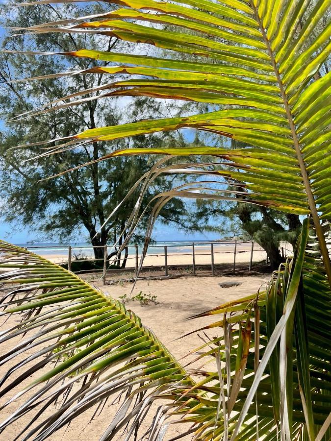 Bed and Breakfast Liquid Dive Adventures Praia do Praia do Tofo Exterior foto