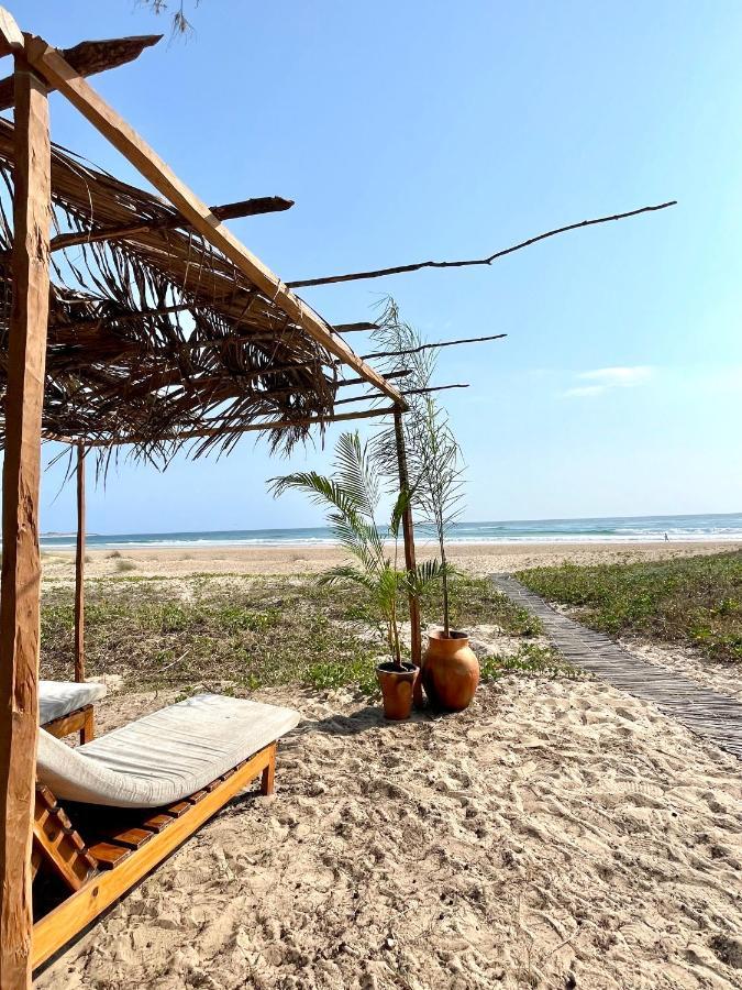 Bed and Breakfast Liquid Dive Adventures Praia do Praia do Tofo Exterior foto