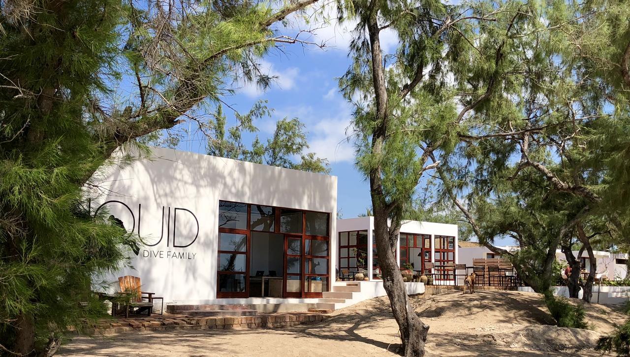 Bed and Breakfast Liquid Dive Adventures Praia do Praia do Tofo Exterior foto