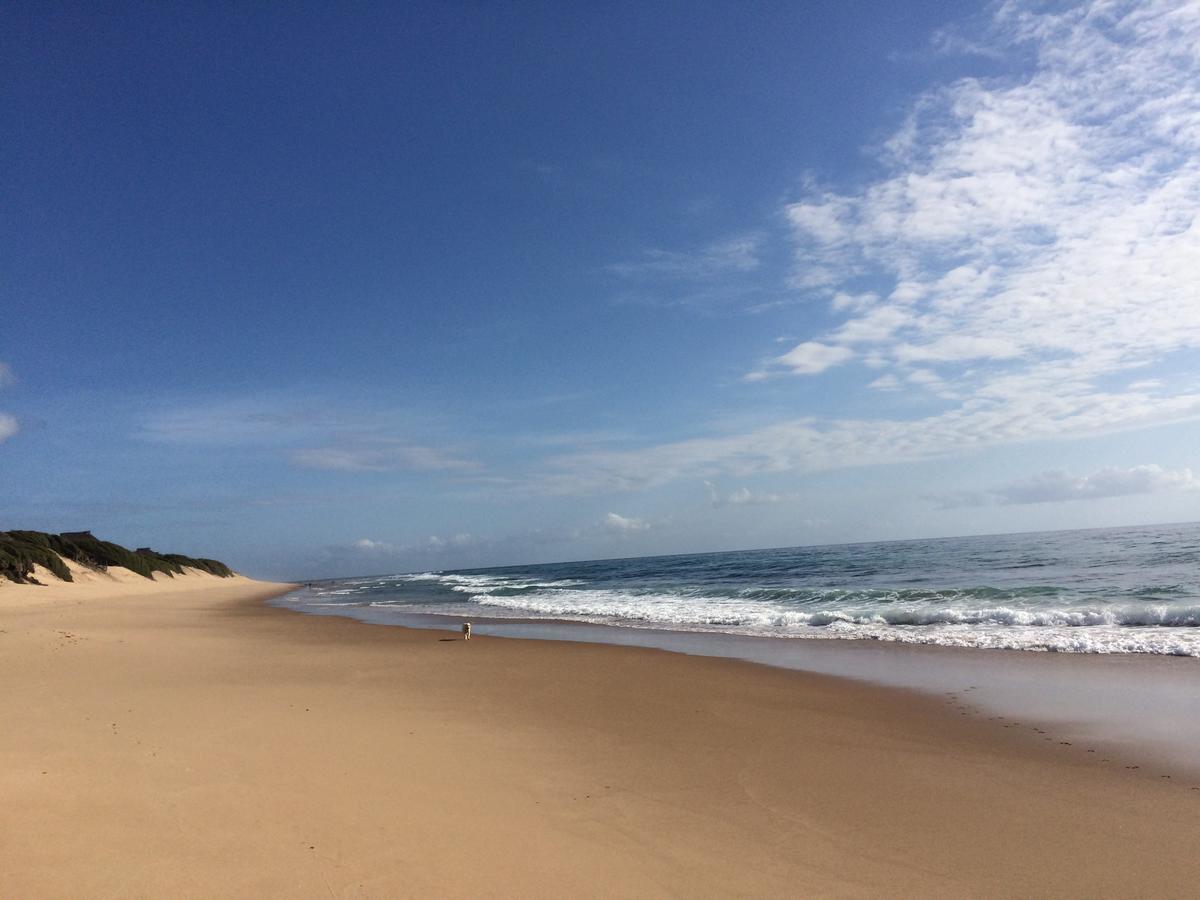 Bed and Breakfast Liquid Dive Adventures Praia do Praia do Tofo Exterior foto